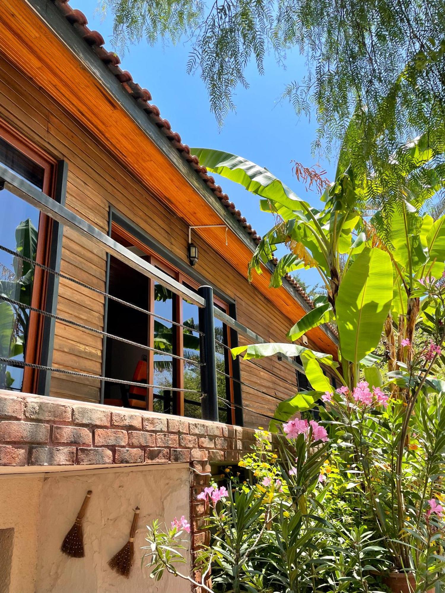 Ata Boutique Hotel Çeşme 외부 사진