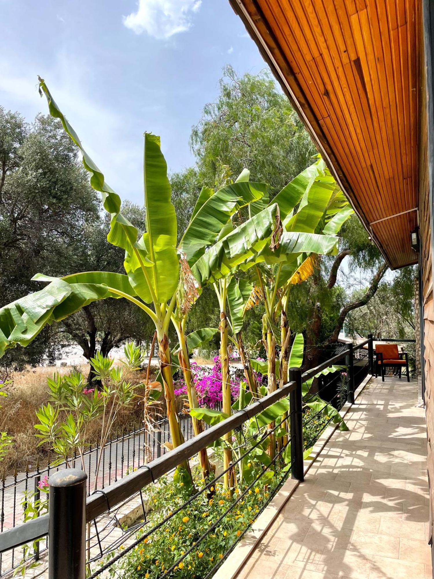 Ata Boutique Hotel Çeşme 외부 사진