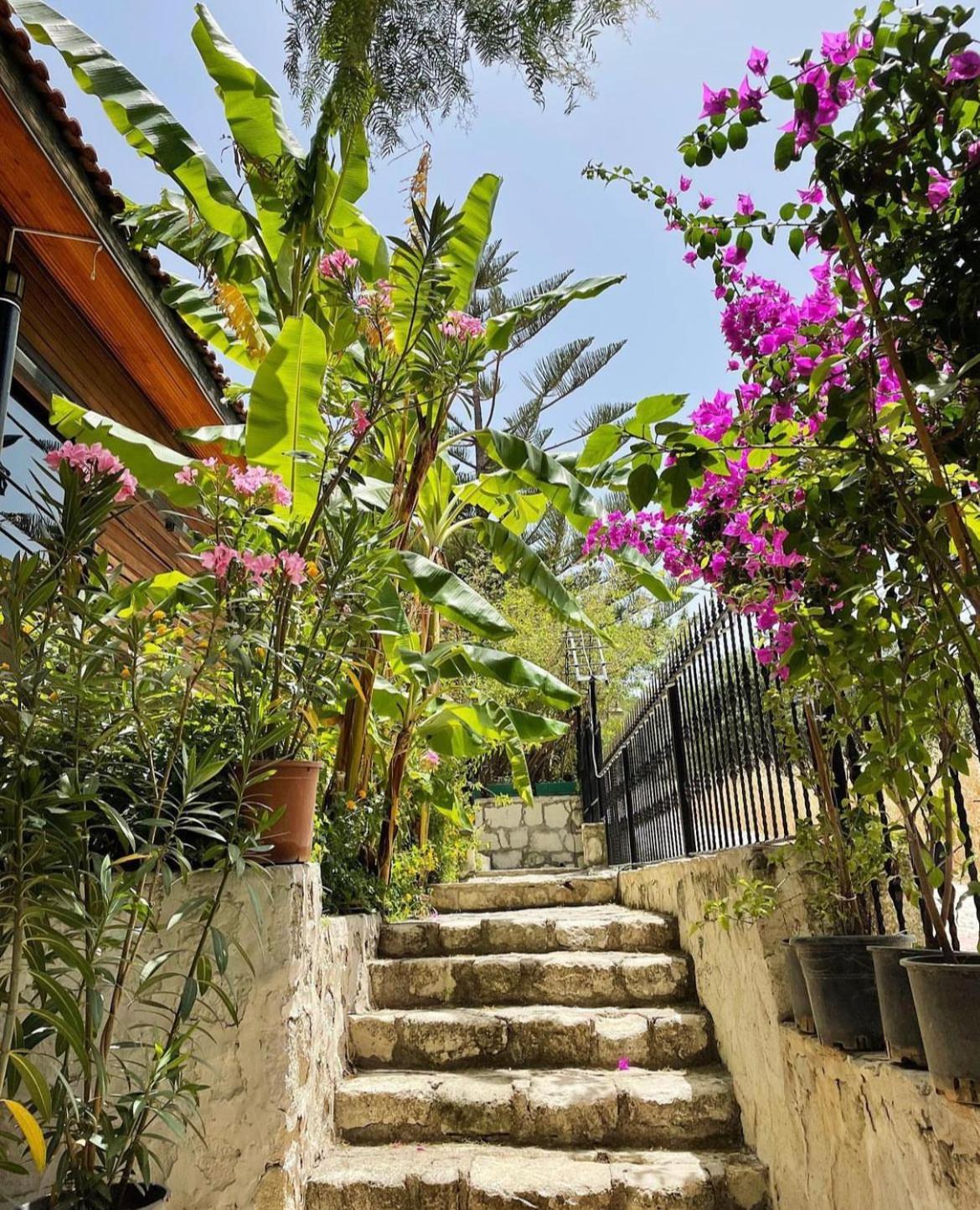 Ata Boutique Hotel Çeşme 외부 사진